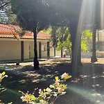 Solar Da Boavista Bed and breakfast 4*